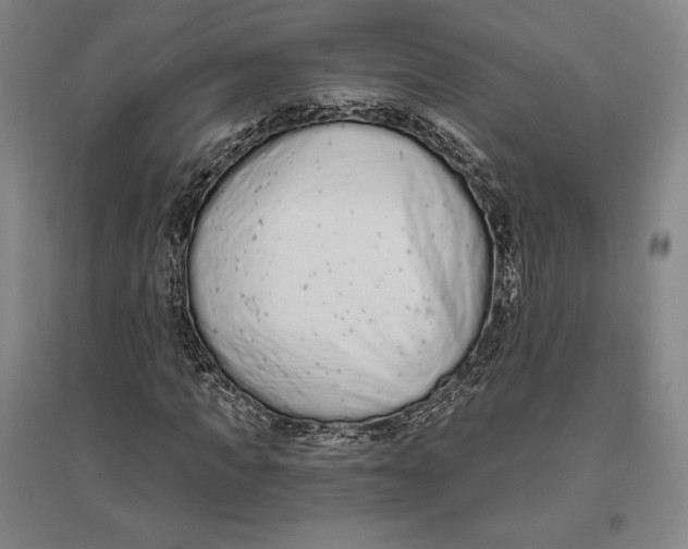 X0000096630917200802261201