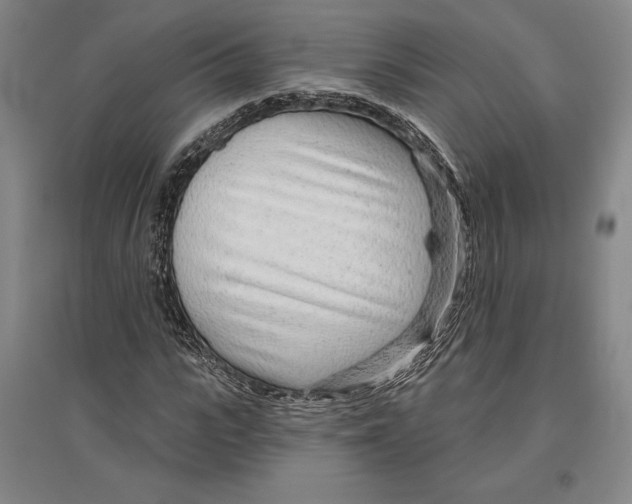 X0000096630919200802261201