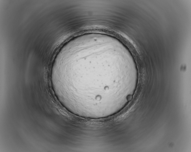 X0000096630921200802261201