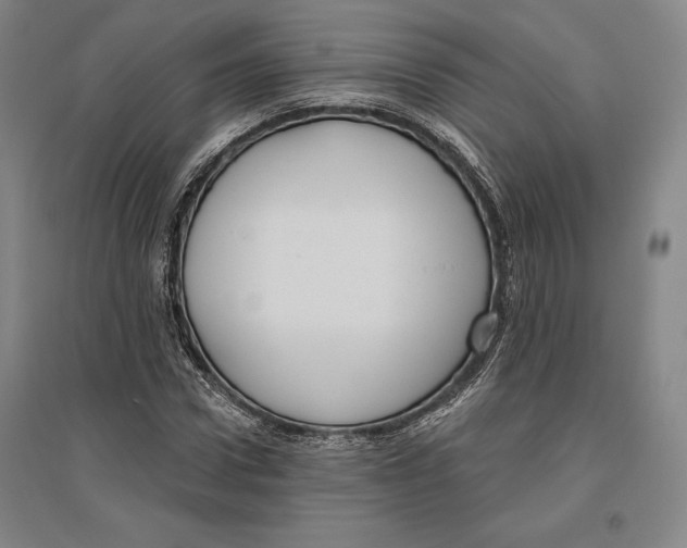 X0000096630922200802261201