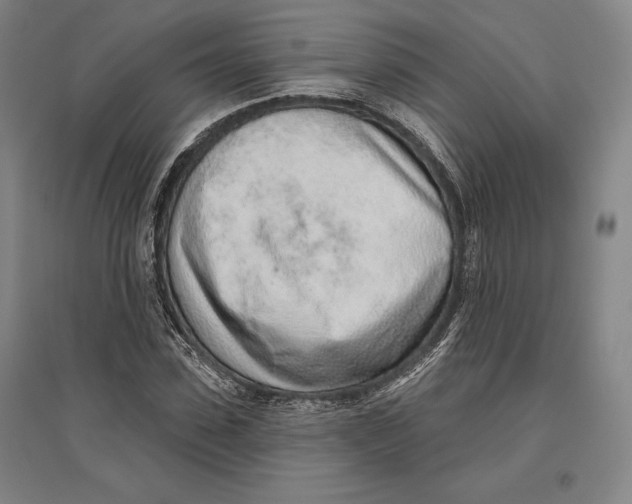 X0000096630923200802261201