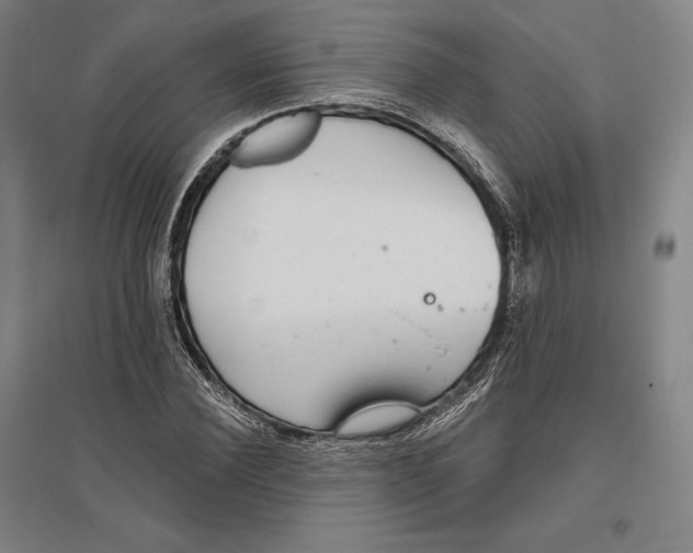 X0000096630924200802261201