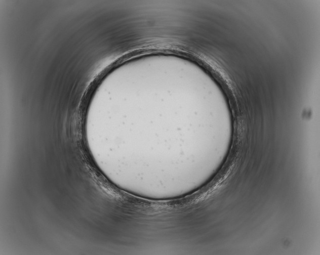X0000096630925200802261201