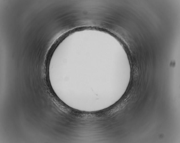 X0000096630927200802261201