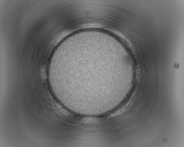 X0000096630929200802261201
