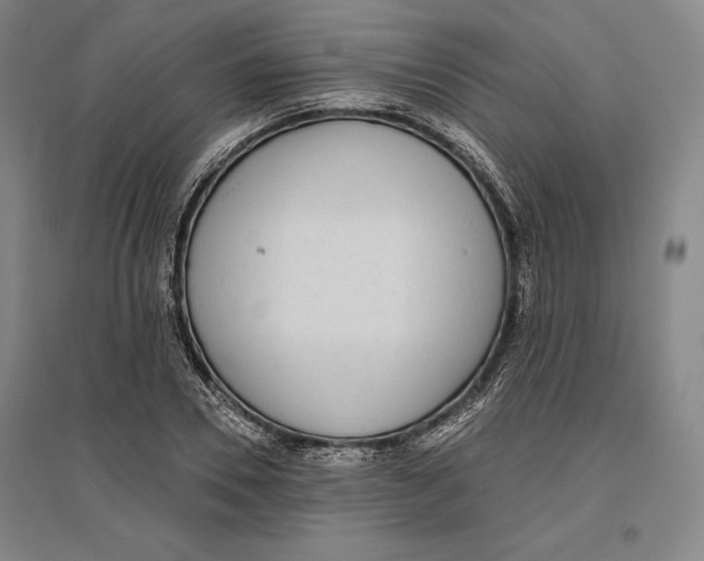 X0000096630930200802261201