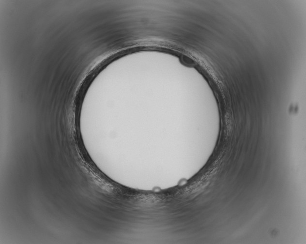 X0000096630931200802261201