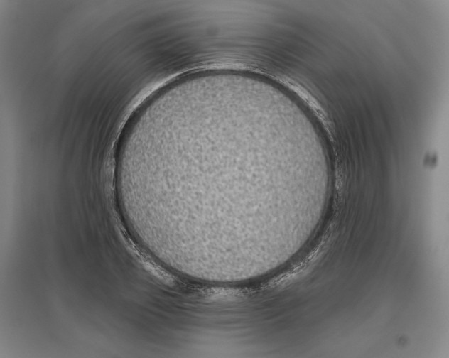 X0000096630933200802261201