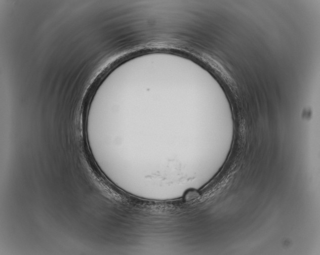 X0000096630934200802261201