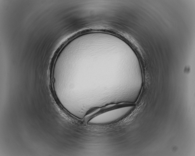 X0000096630935200802261201