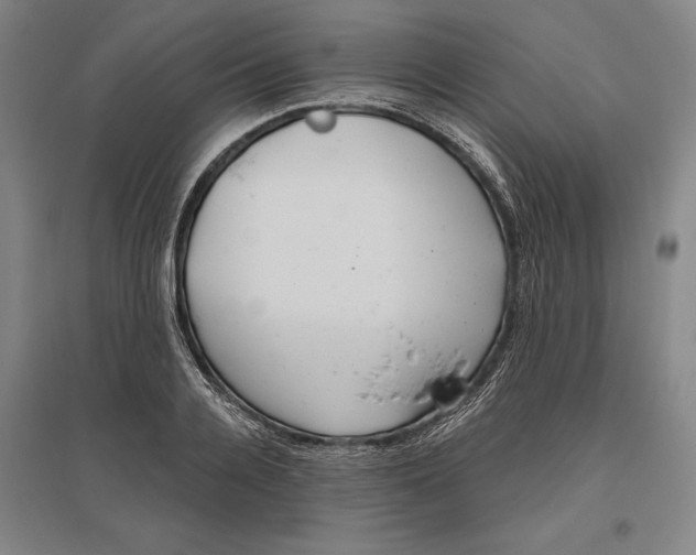 X0000096630936200802261201