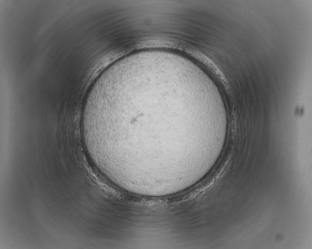 X0000096630937200802261201