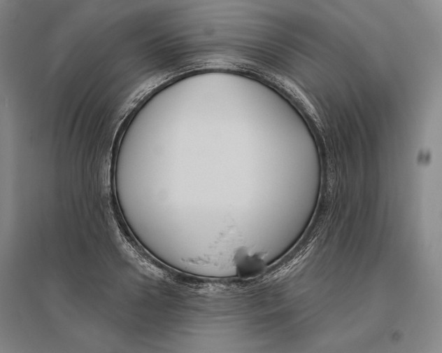 X0000096630938200802261201