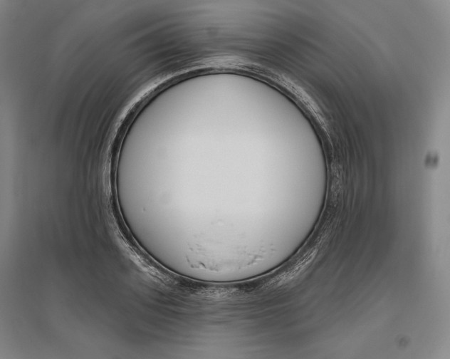 X0000096630939200802261201