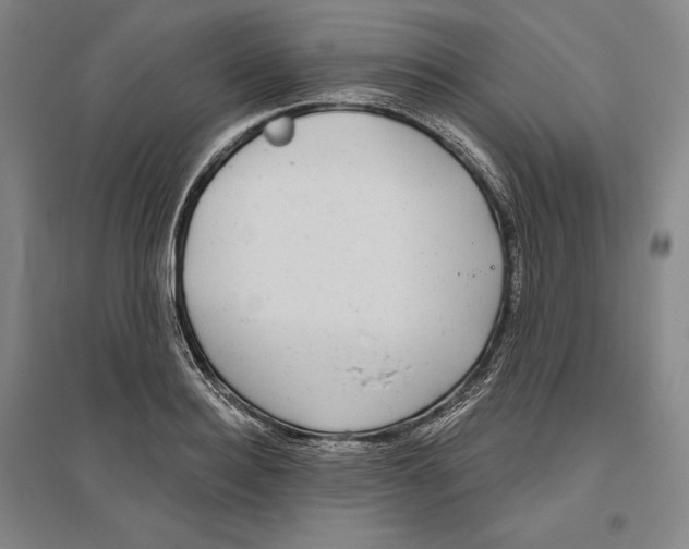 X0000096630940200802261201
