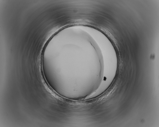 X0000096630941200802261201