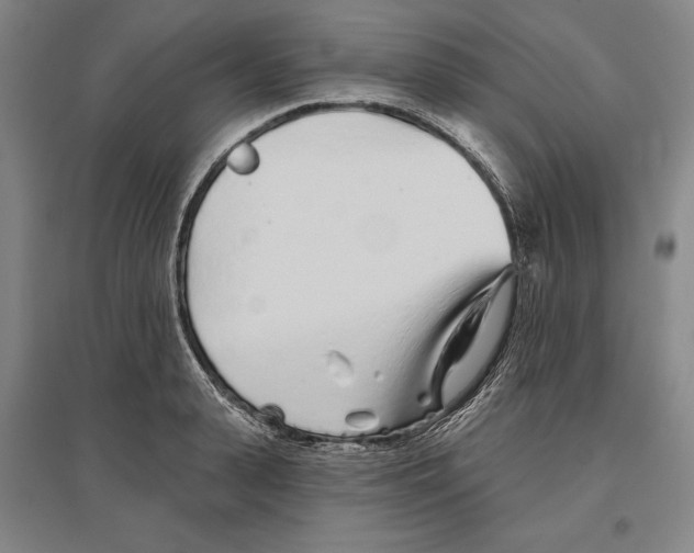 X0000096630943200802261201