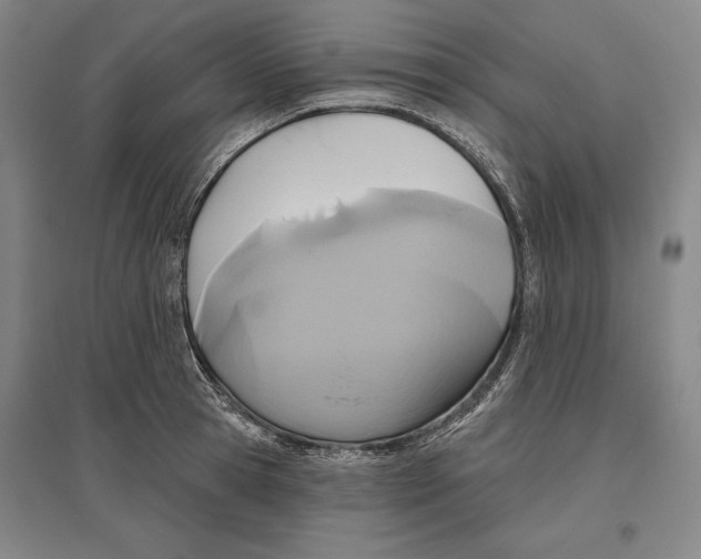 X0000096630945200802261201