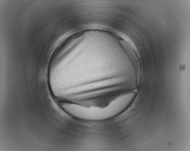 X0000096630946200802261201