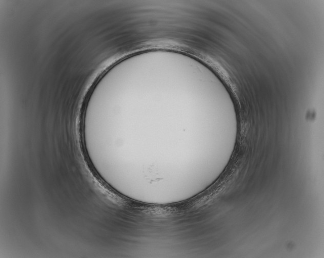 X0000096630947200802261201