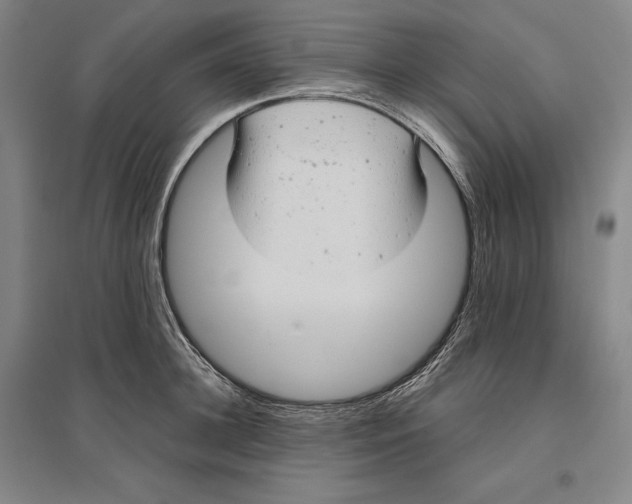 X0000096630948200802261201