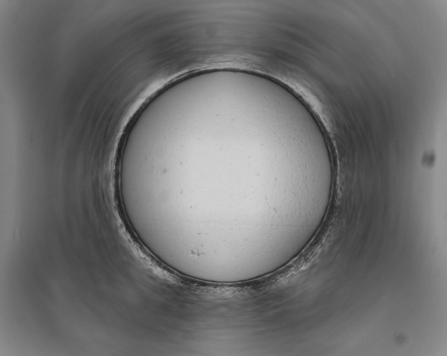 X0000096630949200802261201