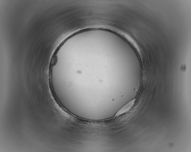 X0000096630951200802261201