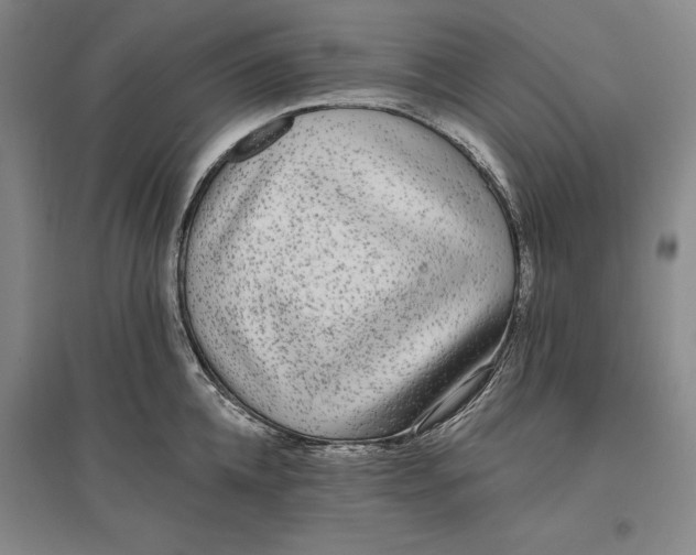 X0000096630952200802261201