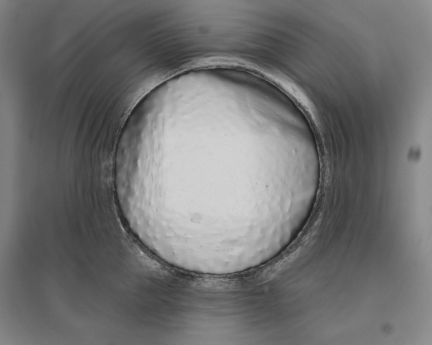 X0000096630953200802261201