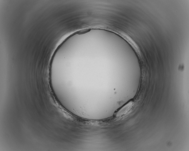 X0000096630956200802261201