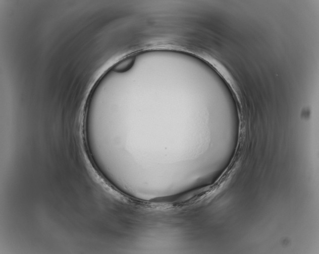 X0000096630957200802261201