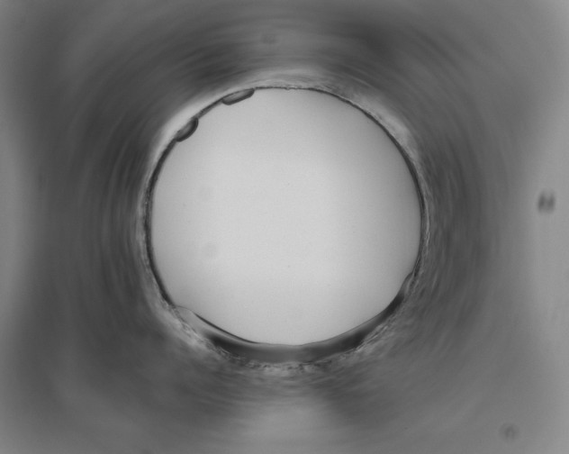 X0000096630960200802261201