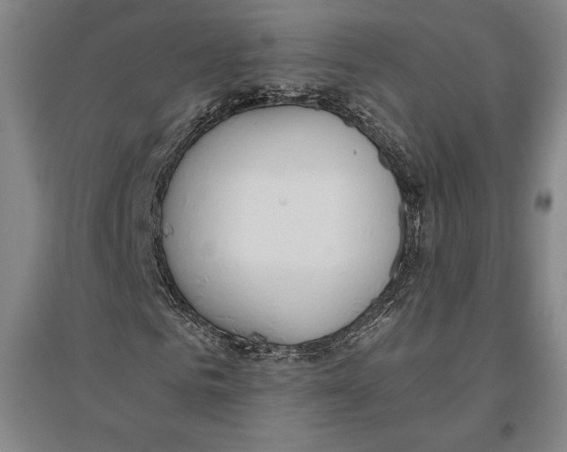 X0000096630961200802261201