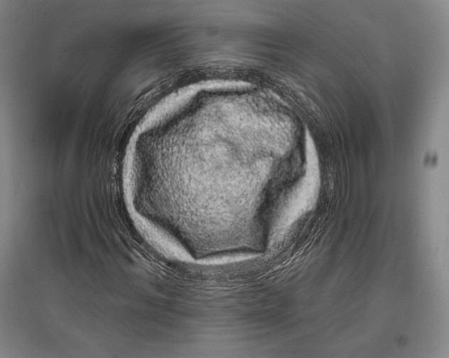 X0000096630964200802261201