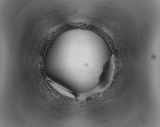 X0000096630965200802261201