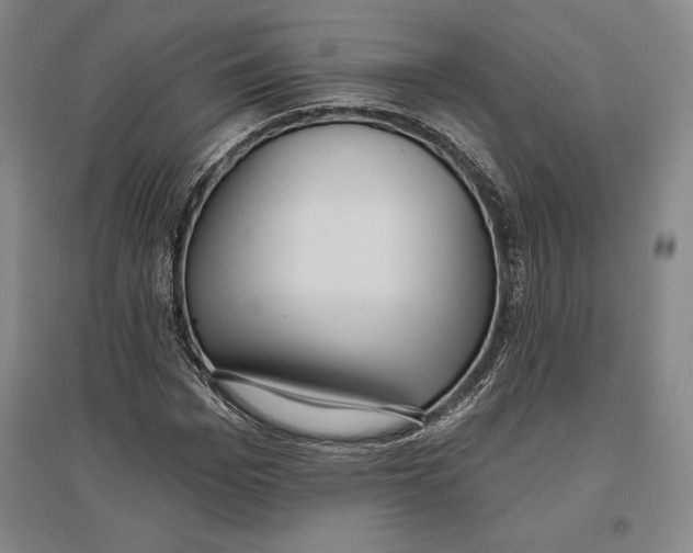 X0000096630969200802261200