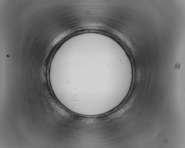 X0000096630970200802261200