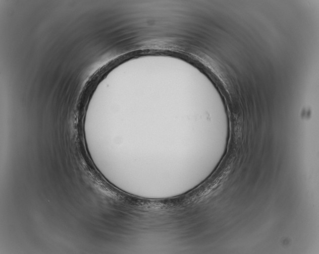 X0000096630971200802261200