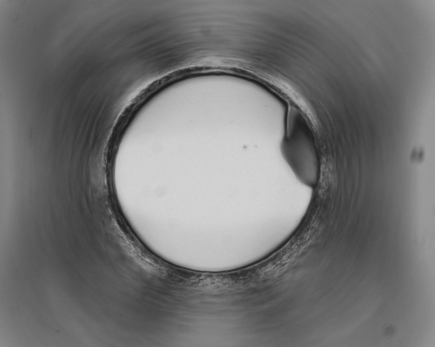 X0000096630972200802261200