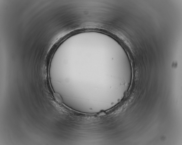 X0000096630973200802261200