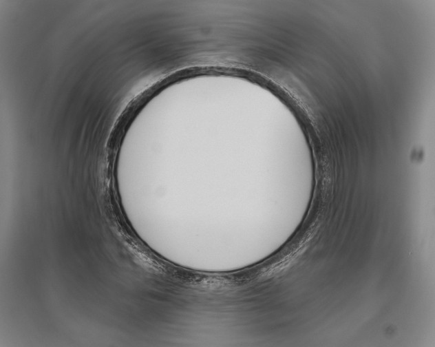 X0000096630974200802261200