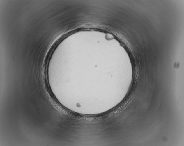 X0000096630976200802261200