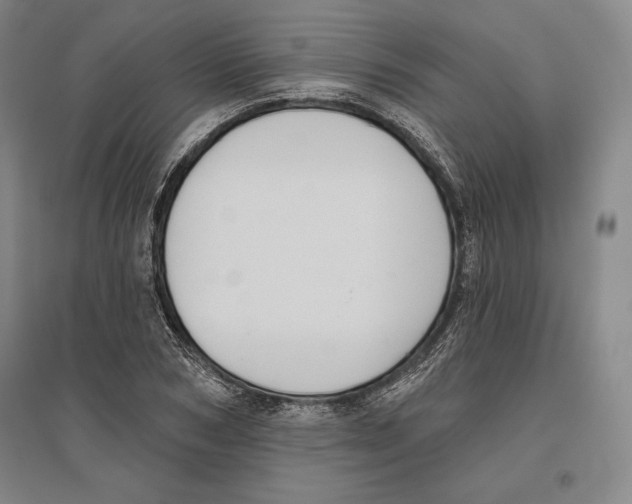X0000096630978200802261200