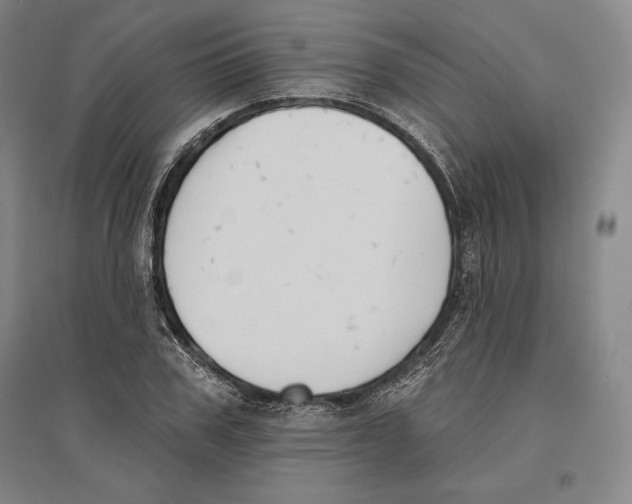 X0000096630979200802261200