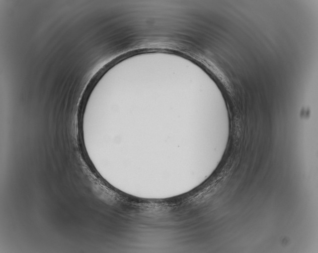 X0000096630980200802261200