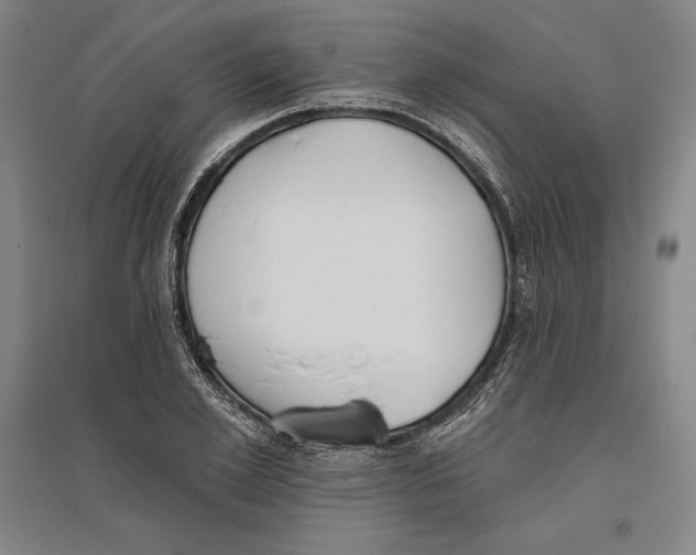 X0000096630981200802261200