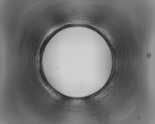 X0000096630982200802261200