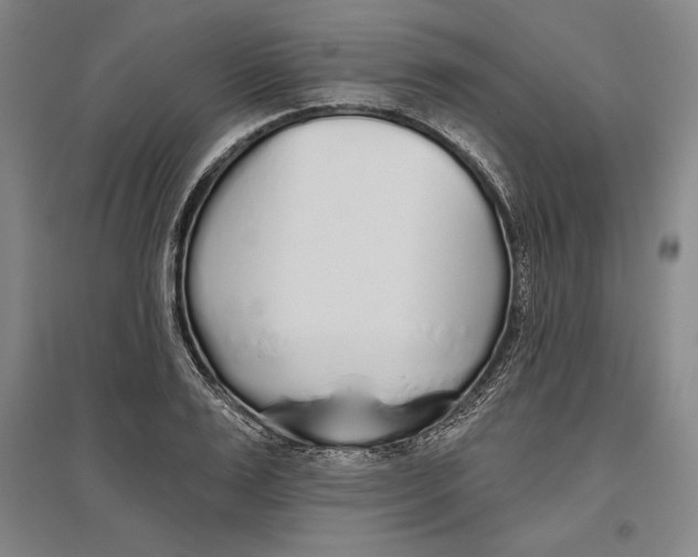 X0000096630983200802261200