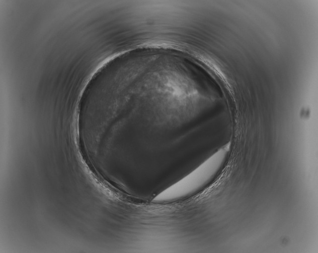 X0000096630984200802261200