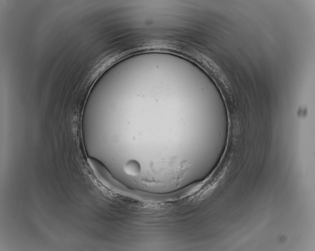 X0000096630985200802261200